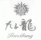 九子龙