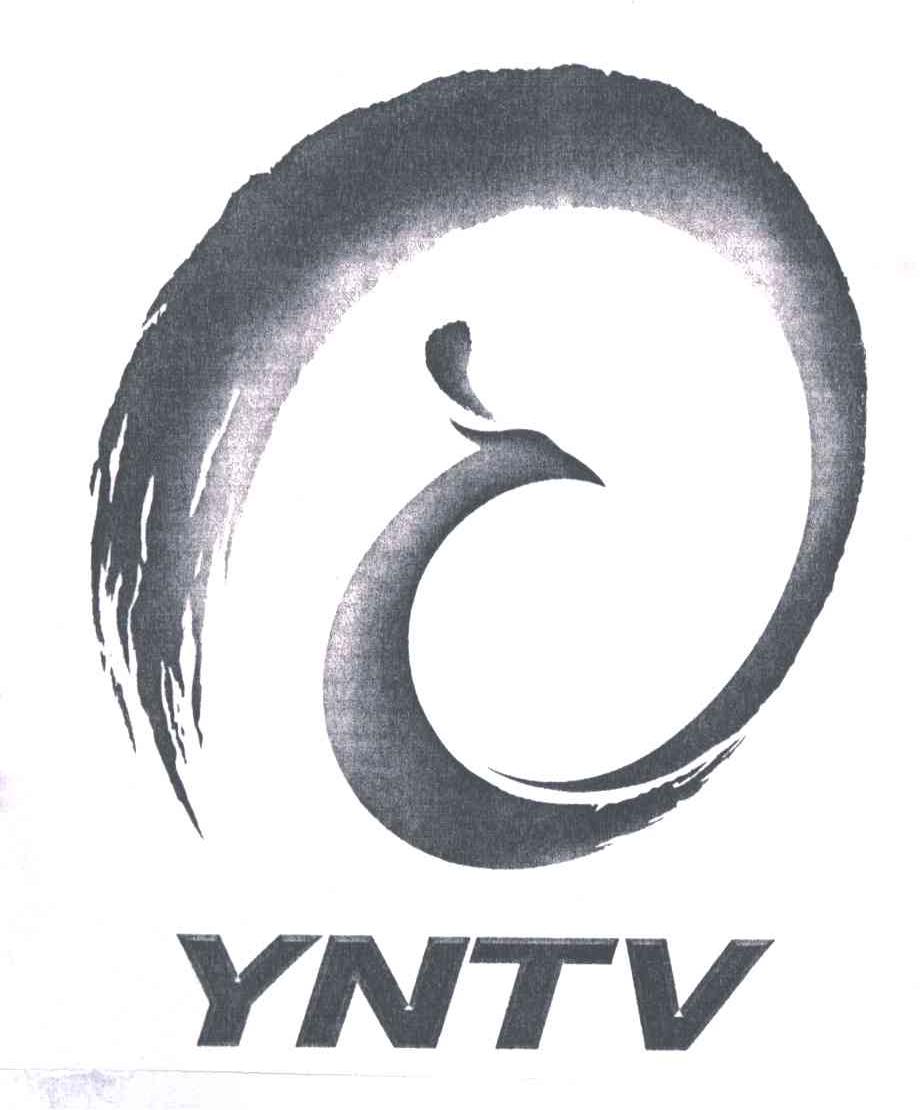 YNTV