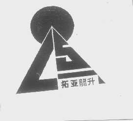 拓亚龙升