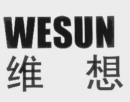 维想   WESUN