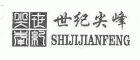 世纪尖峰