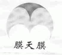 膜天膜