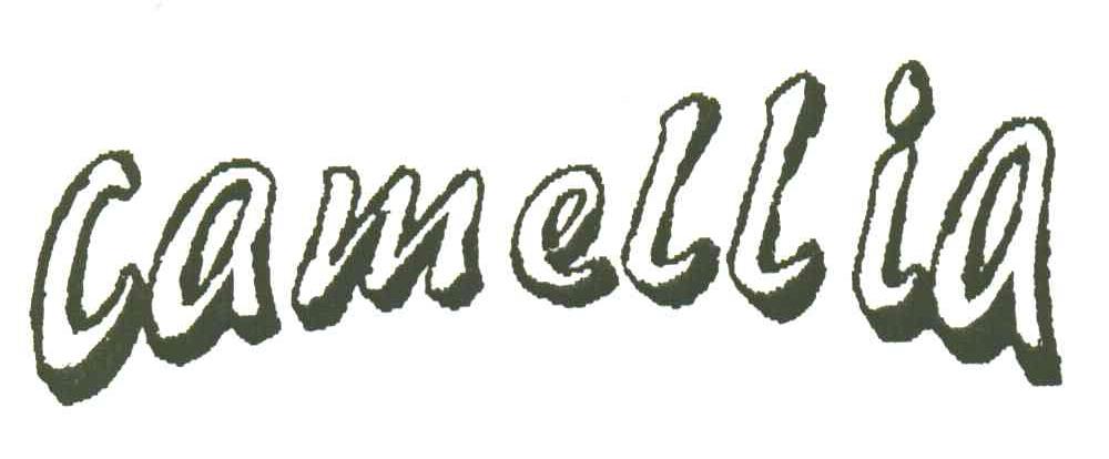 CAMELLIA