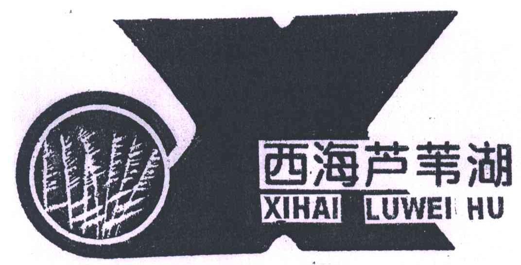 西海芦苇湖;X