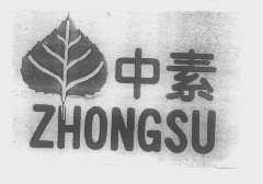 中素