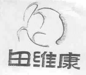 田维康