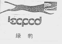 绿豹  LOOPOD