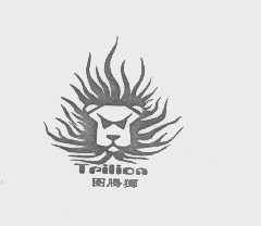 图腾狮   TPILIOA