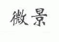 微景