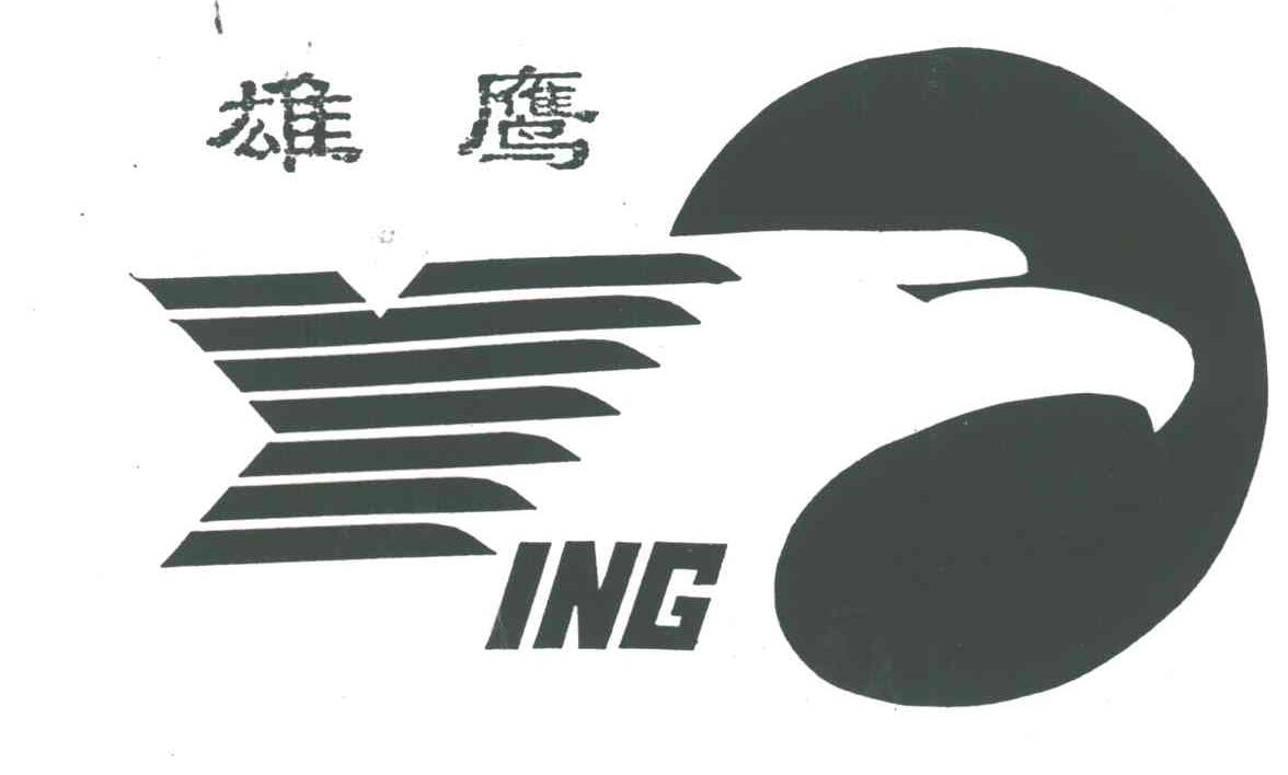 雄鹰及图