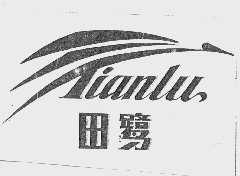 田鹭