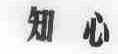 知心