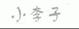 小李子
