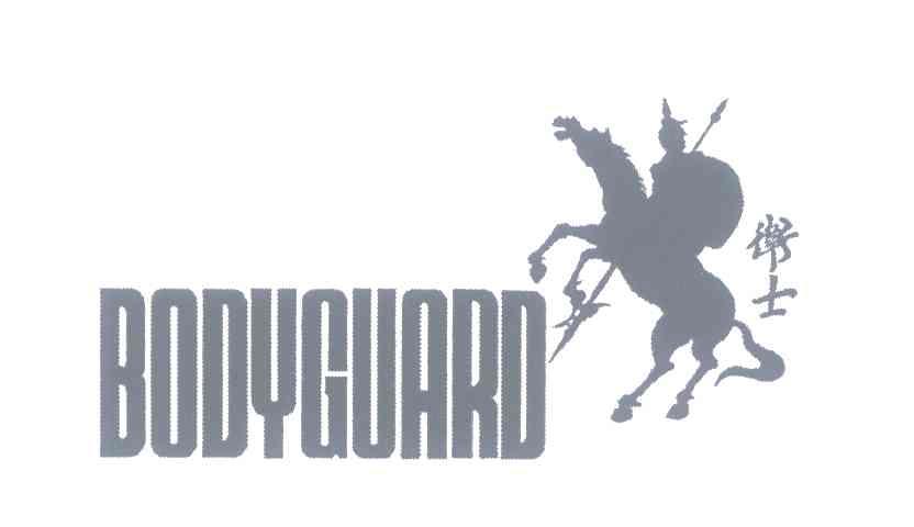 卫士;BODYGUARD