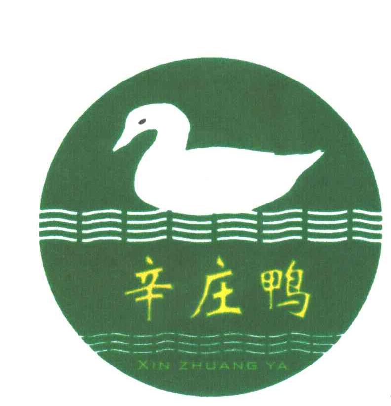 辛庄鸭