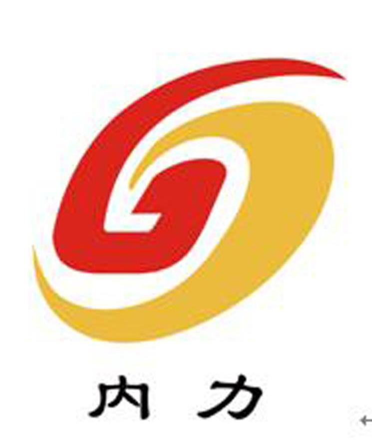 内力