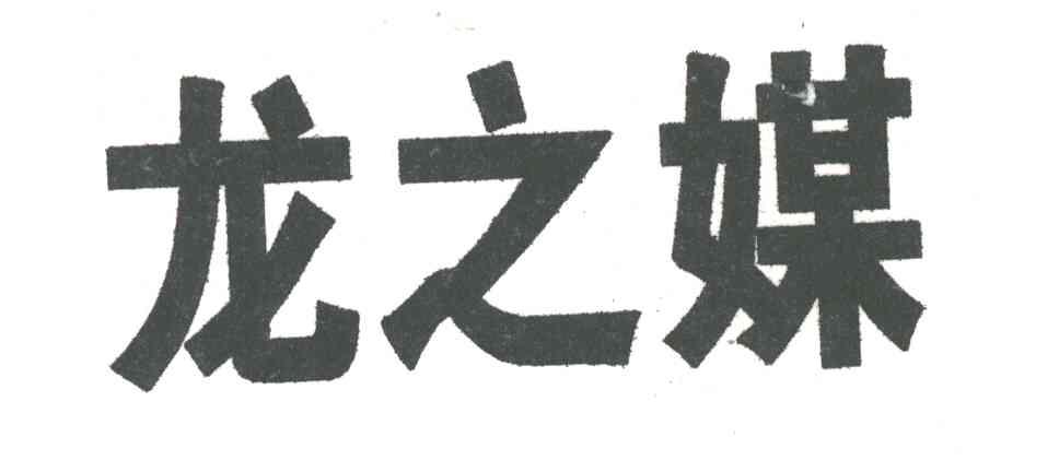 龙之媒