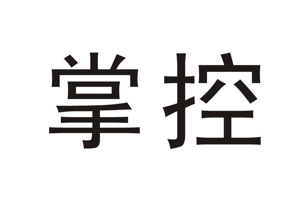 掌控