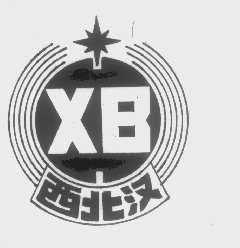 西北汉