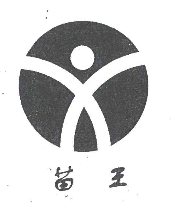 苗王