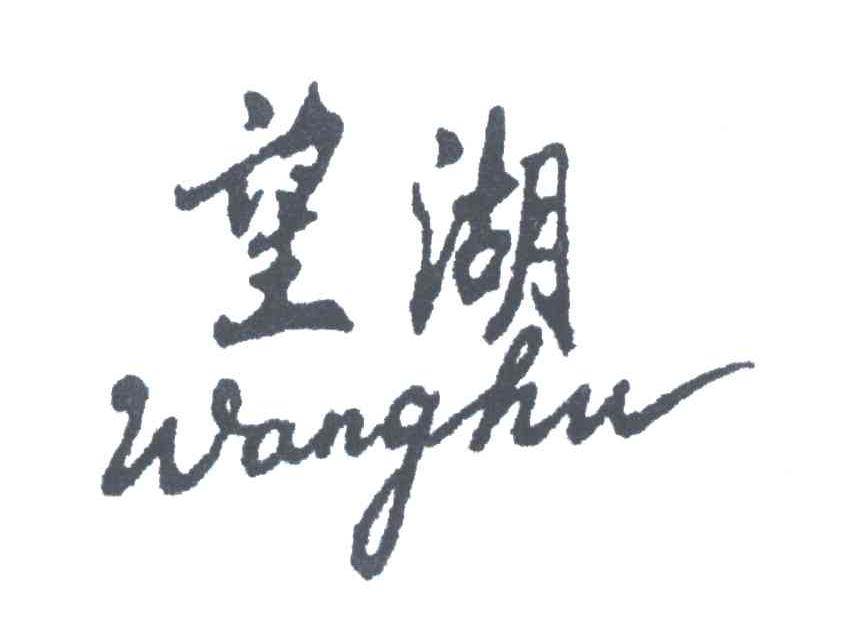 望湖