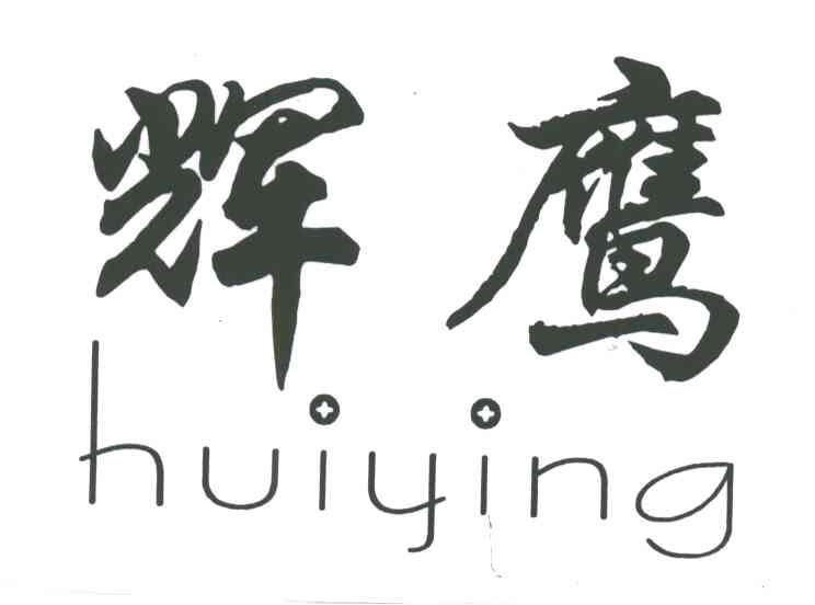 辉鹰