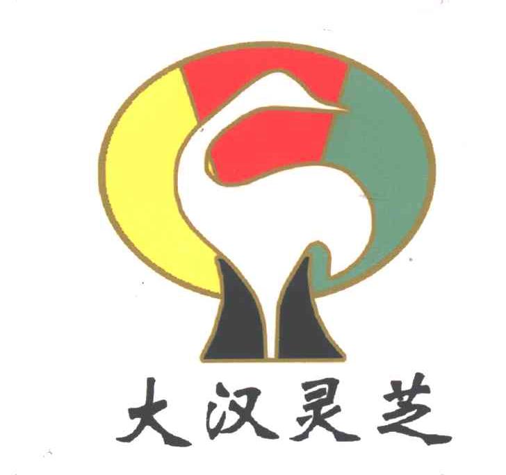 大汉灵芝