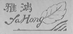 雅鸿
