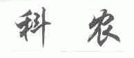 科农