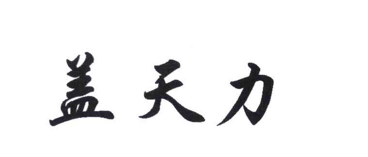 盖天力
