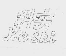 科实