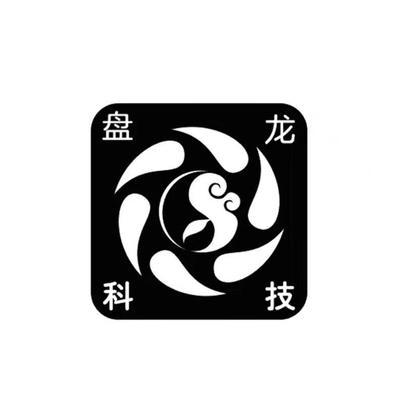 盘龙科技