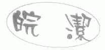 皖洁