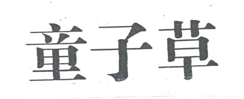 童子草