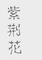 紫荆花