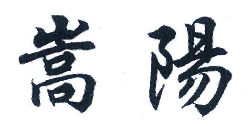 嵩阳