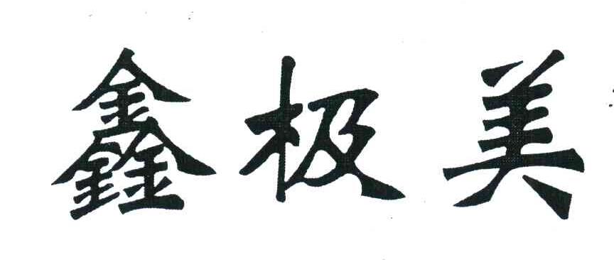 鑫极美