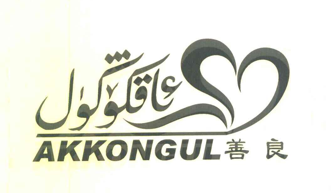 善良 AKKONGUL