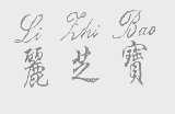 丽芝宝