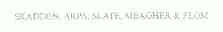 SKADDEN，ARPS，SLATE，MEAGHER & FLOM
