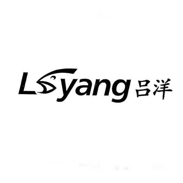 吕洋 LYANG