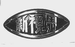 新视界