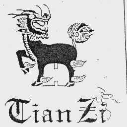 TIAN ZI