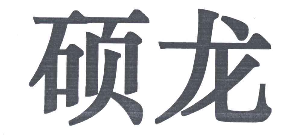 硕龙