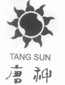 TANG SUN;唐神