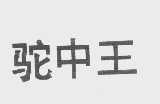 驼中王
