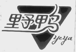 野鸭
