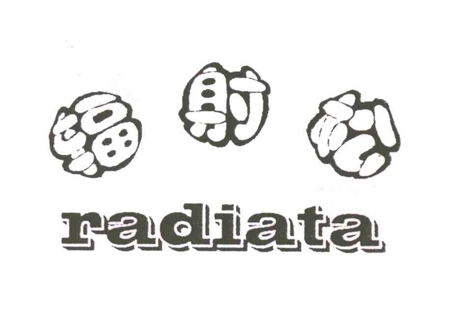 辐射松;RADIATA