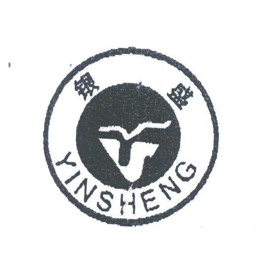 银盛