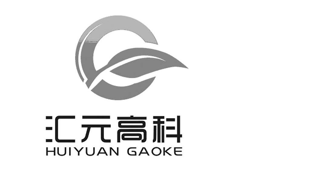 汇元高科